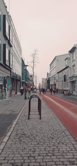 Reykjavik City private tour: Hallgrímskirkja, Perlan & More! - Key Points