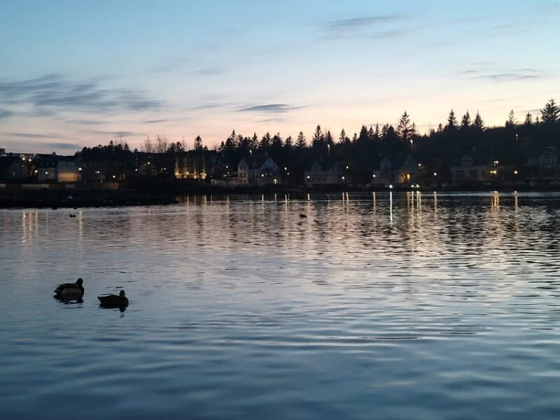 Reykjavik City private tour: Hallgrímskirkja, Perlan & More! - The Guide Experience