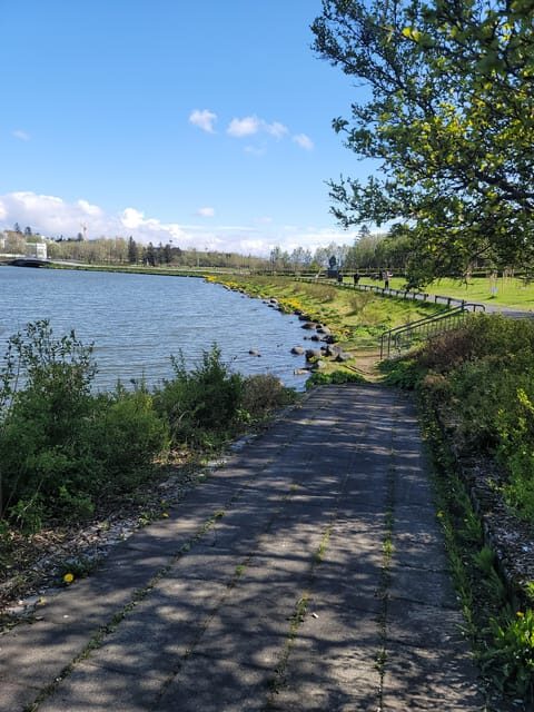 Reykjavik City private tour: Hallgrímskirkja, Perlan & More! - Who Should Consider This Tour?