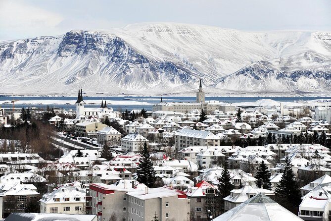 Reykjavik City Walking Tour - Authentic Insights from Reviewers