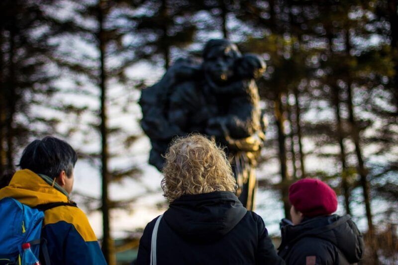 Reykjavik: Discover the Cultural Soul of Iceland - An In-Depth Look at the Reykjavik Heritage Walk Island Tour
