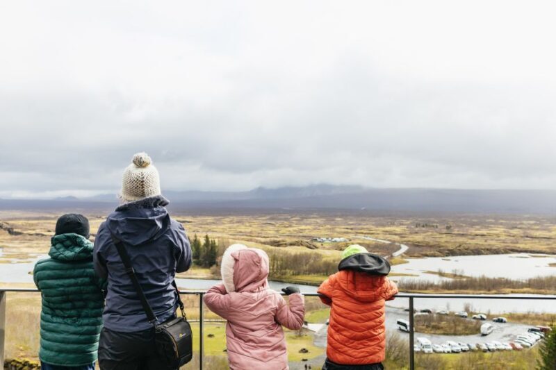 Reykjavik: Golden Circle, Crater & Blue Lagoon Minibus Tour - Who Will Love This Tour?