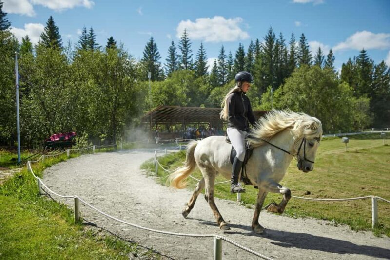 Reykjavík: Golden Circle, Friðheimar, & Laugarás Lagoon Tour - Reykjavík: Golden Circle, Friðheimar, & Laugarás Lagoon Tour – A Complete Review