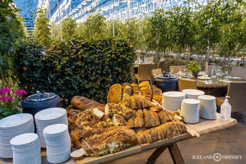 Reykjavik: Golden Circle & Northern Lights Tour - Final Thoughts