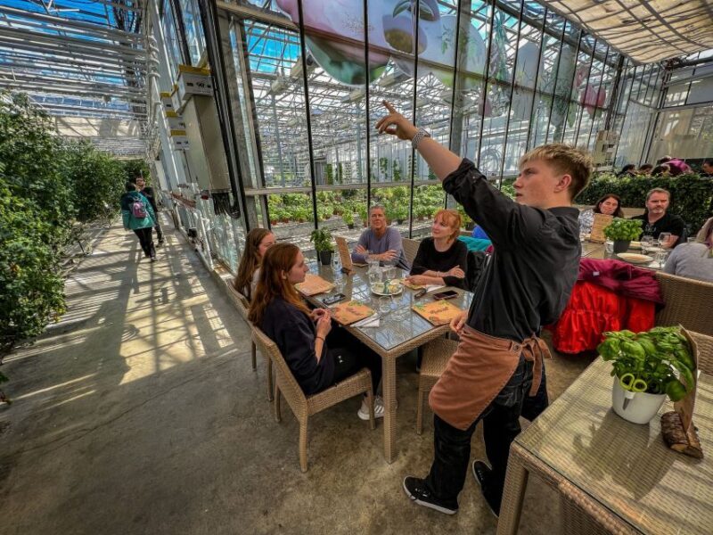 Reykjavik: Golden Circle, Silfra Snorkeling, and Farm Lunch - Farm Lunch at Friðheimar