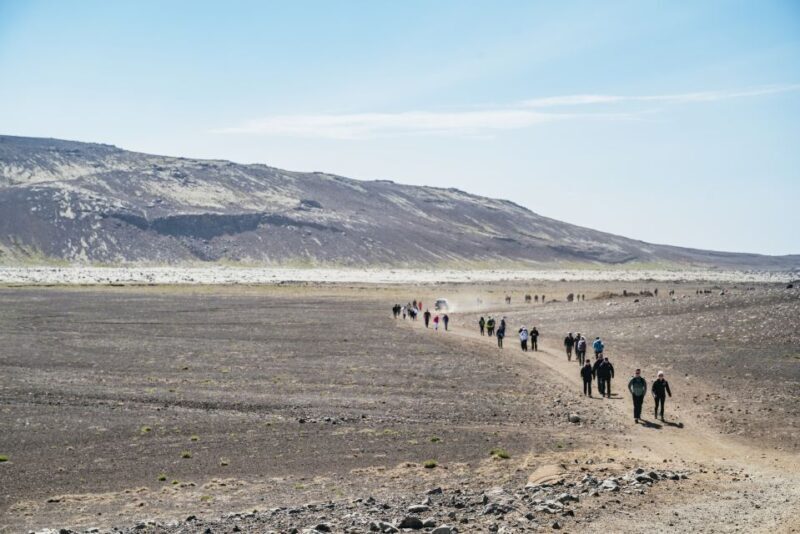 Reykjavik: Guided Tour to Volcano and Reykjanes Geopark - FAQ