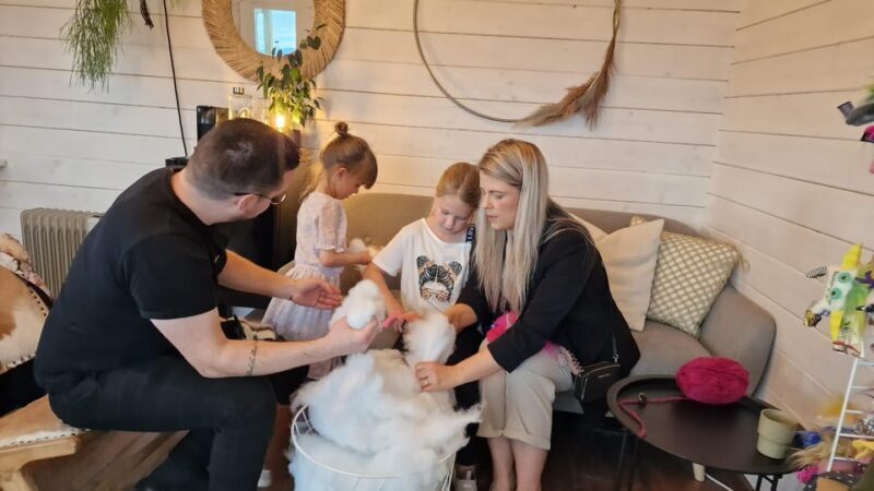 Reykjavik: Make an Icelandic Wool Monster - Practical Details