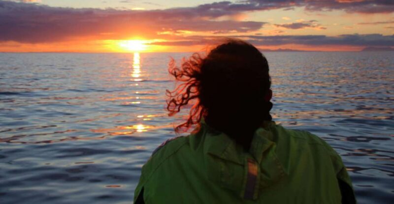 Reykjavík: Midnight Sun Whale Watching Cruise - Final Thoughts: Is It Worth It?