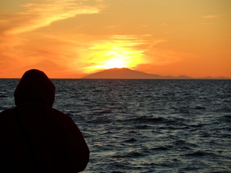 Reykjavik: Midnight Sun Whale Watching Tour - Real Traveler Insights