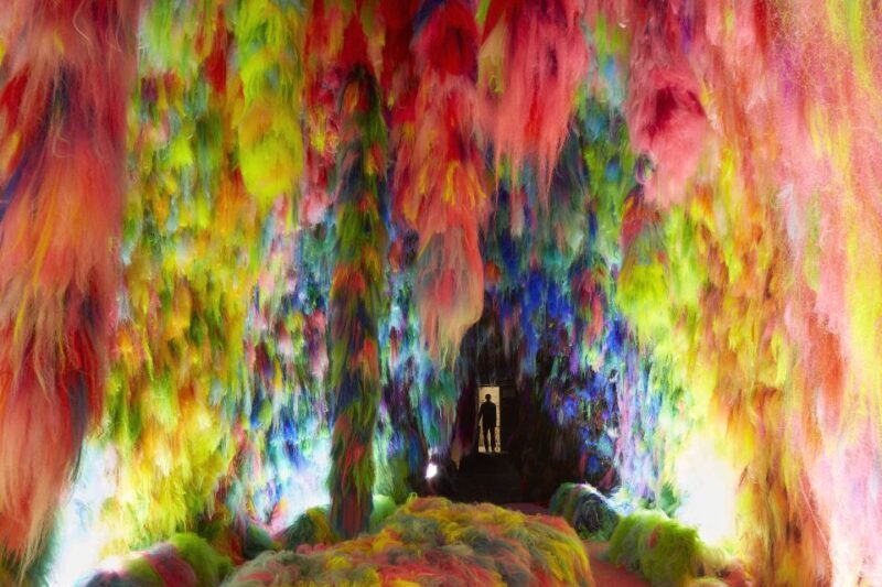 Reykjavík: Multi-Sensory Art Installation Chromo Sapiens - What To Expect During the Tour