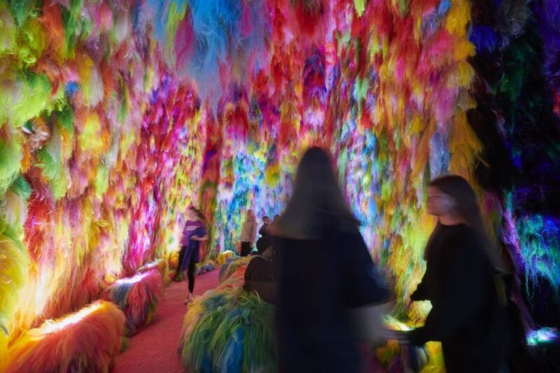 Reykjavík: Multi-Sensory Art Installation Chromo Sapiens - Is It Worth the Price?