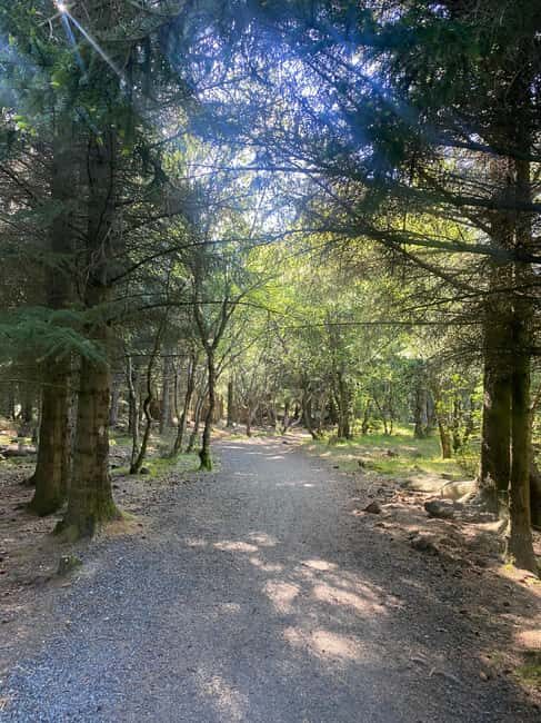 Reykjavik: Nature Loop Bike Tour from Nauthólsvík Beach - Who Would Love This Tour?
