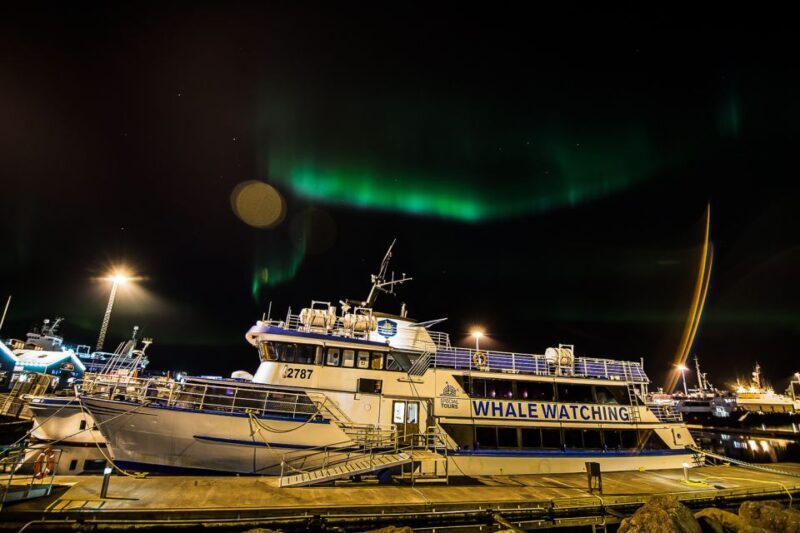 Reykjavik: Northern Lights Guided Boat Tour - Key Points