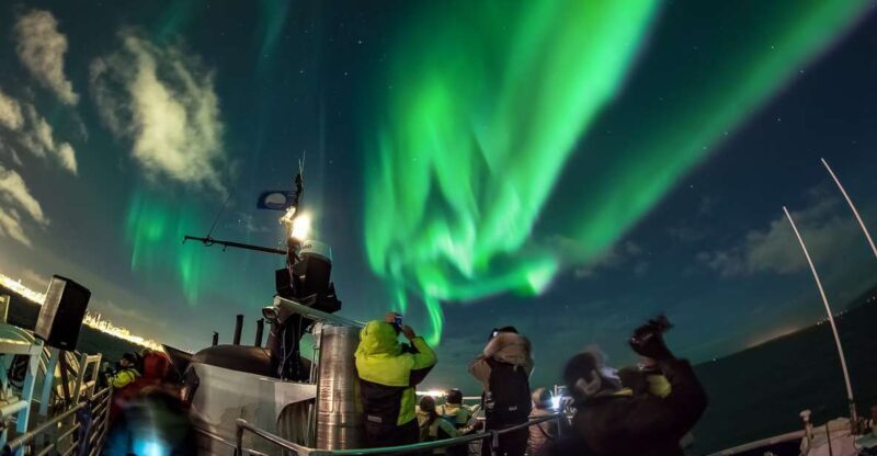 Reykjavik: Northern Lights Guided Boat Tour - The Itinerary: What to Expect on Your Northern Lights Boat Trip