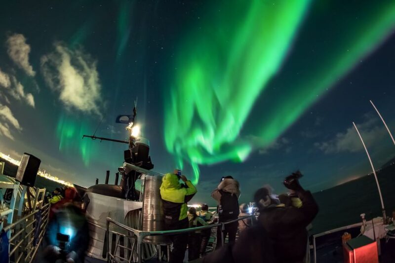 Reykjavik: Northern Lights Guided Boat Tour - The Practicalities: Price, Duration, and Booking