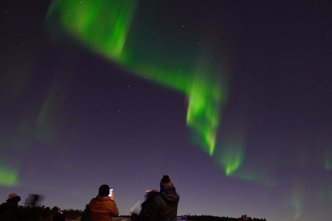 Reykjavik: Northern Lights Tour - Pro Aurora Photos - Small Group - Practical Tips for Booking and Participating