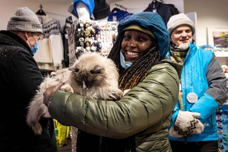 Reykjavik: Private Folklore and Catwalk Walking Tour - Key Points