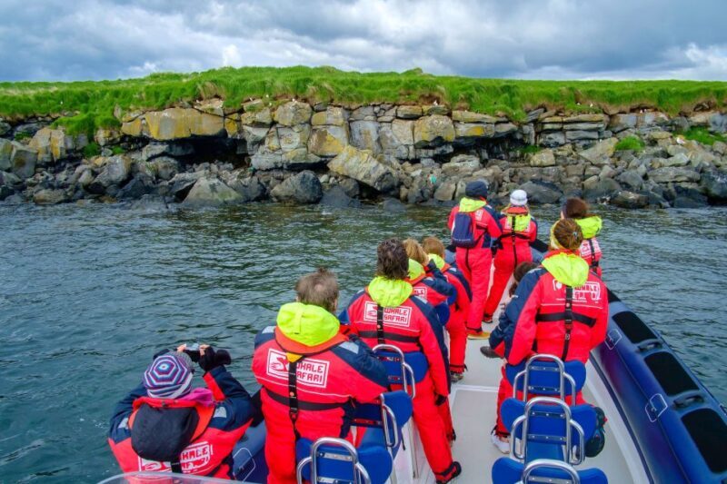 Reykjavik: Puffin Watching Tour - An Authentic Look at the Puffin Watching Experience