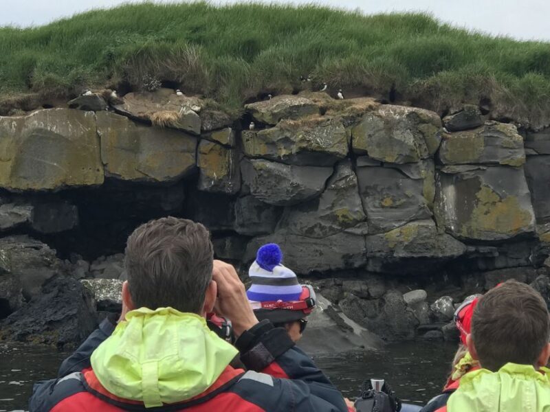 Reykjavík: RIB Speed-Boat Puffin Watching Tour - Frequently Asked Questions