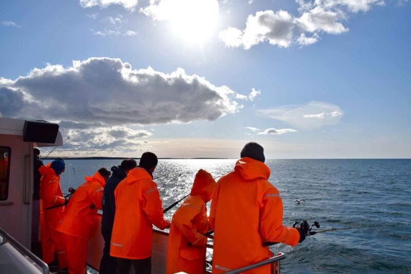 Reykjavik: Sea Fishing Boat Tour & BBQ with the Day's Catch - The Value of This Tour