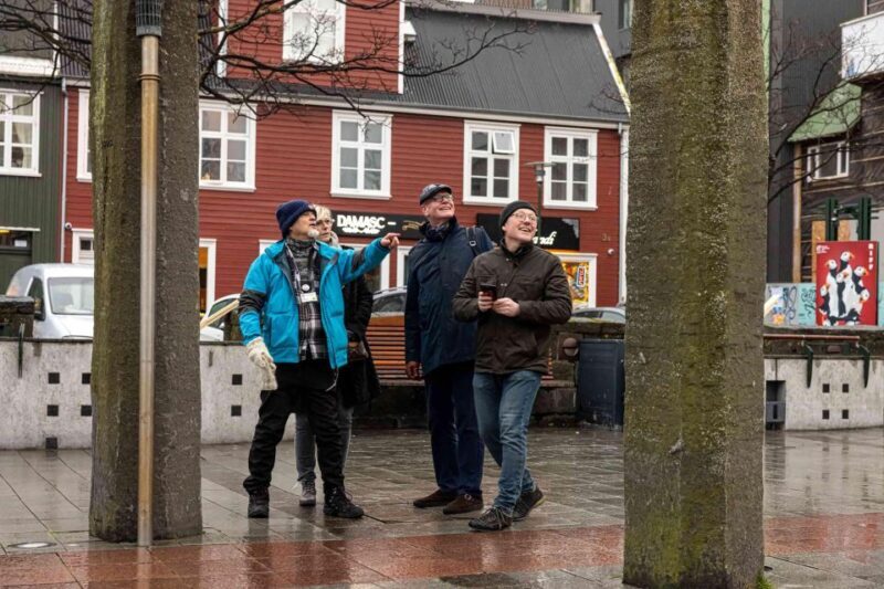 Reykjavik: Sightseeing Walking Tour with a Viking - Authentic Experiences Backed by Reviews