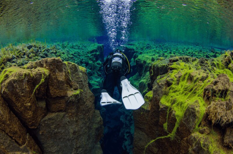 Reykjavík: Silfra Fissure Diving with Optional Pickup - Frequently Asked Questions (FAQs)