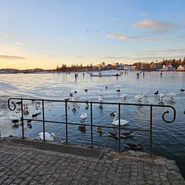 Reykjavik: Street Food Walking Tour - Key Points