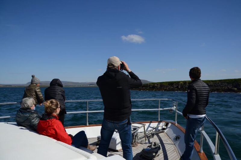 Reykjavik: Whale Watching and Dolphin Watching Yacht Cruise - The Sum Up
