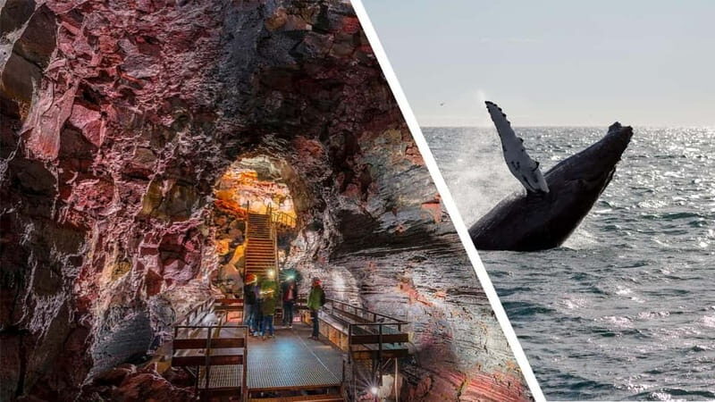 Reykjavik: Whale Watching and Lava Tunnel Combo Tour - Key Points
