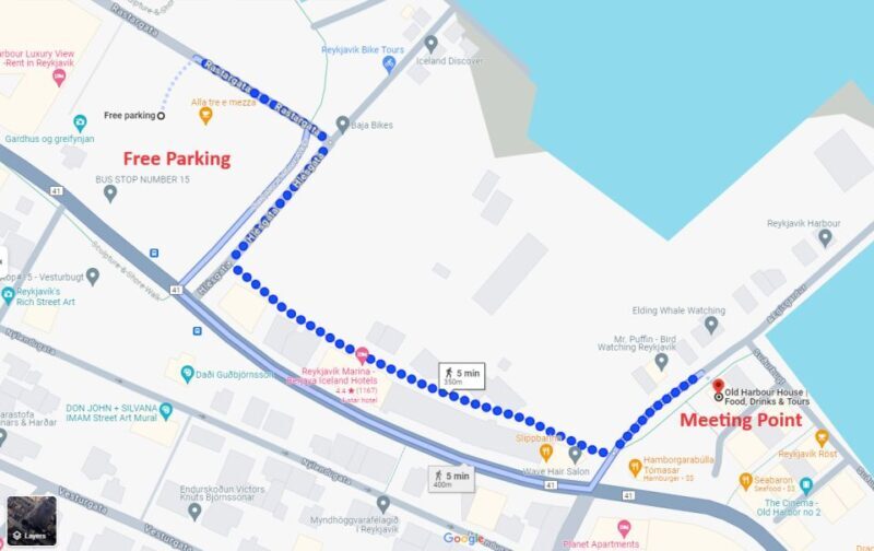 Reykjavík: Whale Watching and Marine Life Cruise - A Deep Dive into the Whale Watching Experience