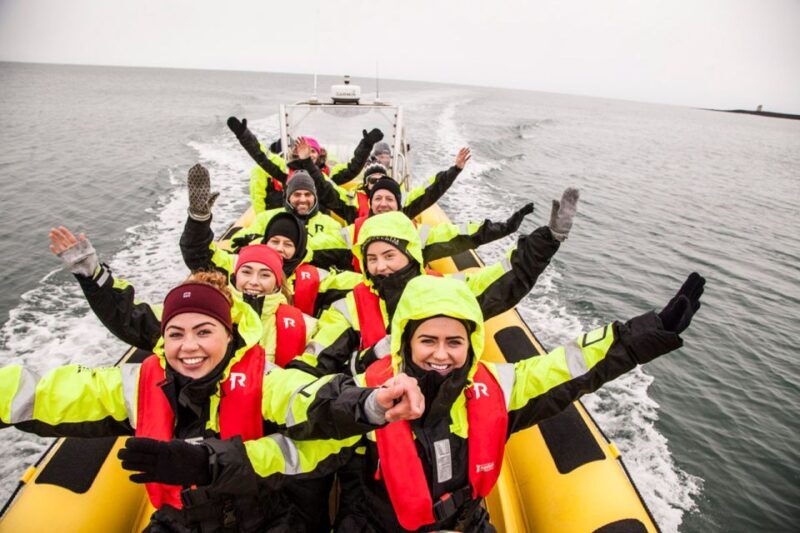 Reykjavik: Whale Watching by RIB Speedboat - The Sum Up