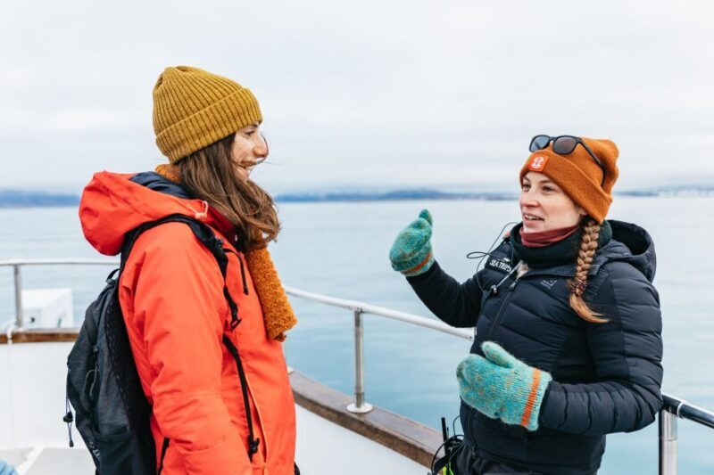 Reykjavík: Whale Watching Cruise on the Amelia Rose Yacht - FAQ