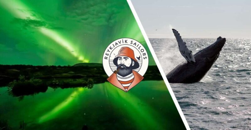 Reykjavik: Whale Watching & Northern Lights Combo Cruise - Practical Tips for Making the Most of Your Tour