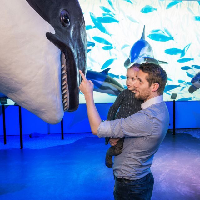 Reykjavik: Whale Watching Tour, Whales of Iceland Exhibition - Practical Details