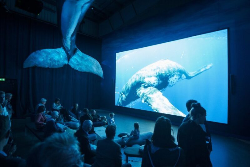 Reykjavik: Whale Watching Tour, Whales of Iceland Exhibition - FAQs