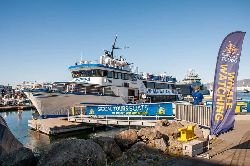 Reykjavik: Whale Watching Tour with Expert Guide - Key Points