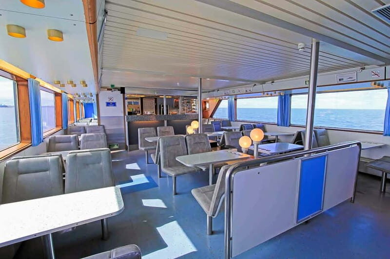 Reykjavik: Whale Watching Tour with Expert Guide - Final Thoughts