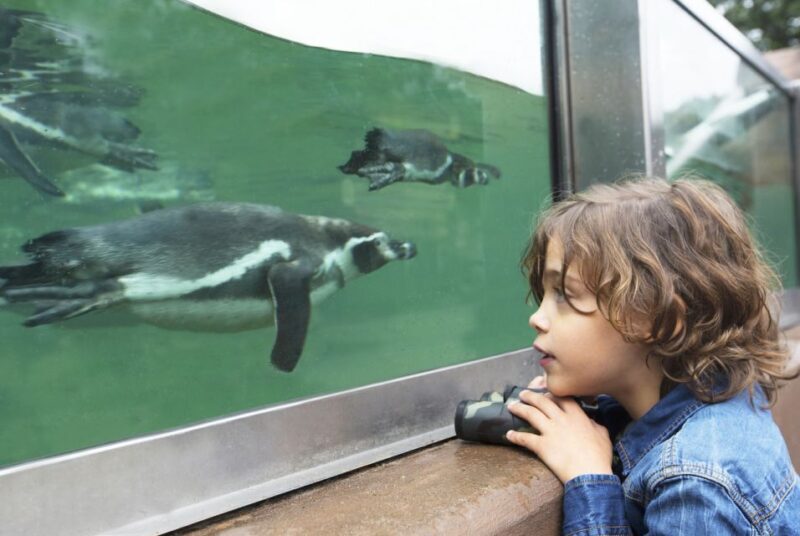 Rhenen: Ouwehands Zoo Entry Ticket - FAQs