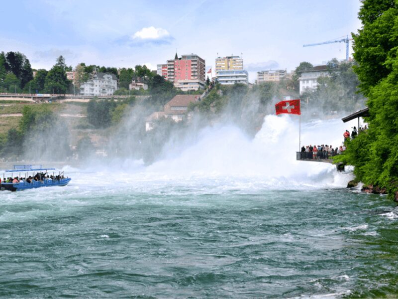 Rhine Falls & Stein am Rhein Private Day Trip - What Makes This Tour Stand Out?