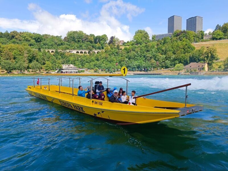 Rhine Falls & Stein am Rhein: Private Tour with a Local - Exploring Swiss Charm: Rhine Falls & Stein am Rhein Private Tour