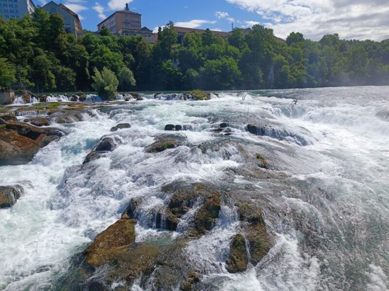 Rhine Falls & Stein am Rhein: Private Tour with a Local - Analyzing the Value