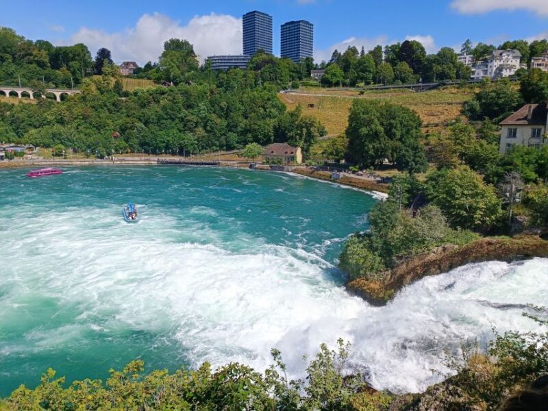Rhine Falls & Stein am Rhein: Private Tour with a Local - Who Will Love This Tour?
