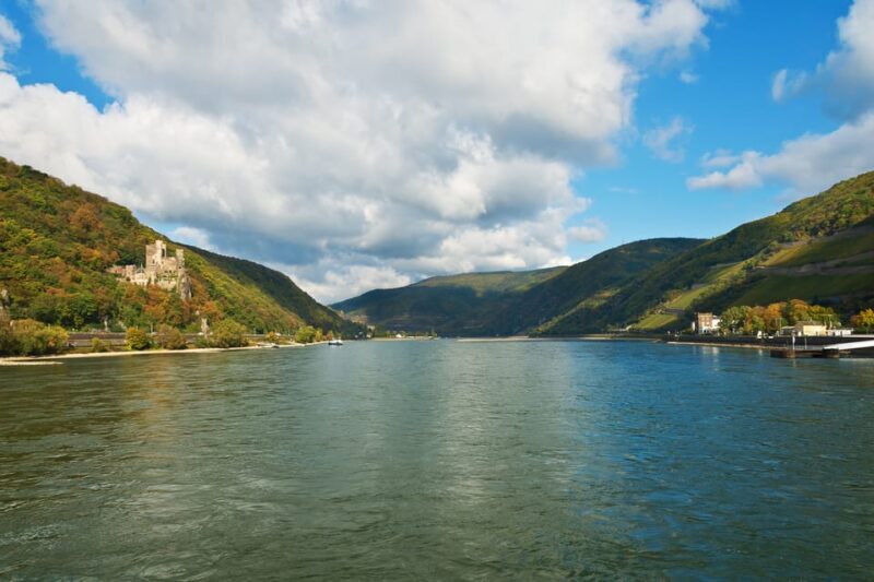 Rhine Valley Castles: 1.5-Hour Boat Tour from Rüdesheim - Key Points