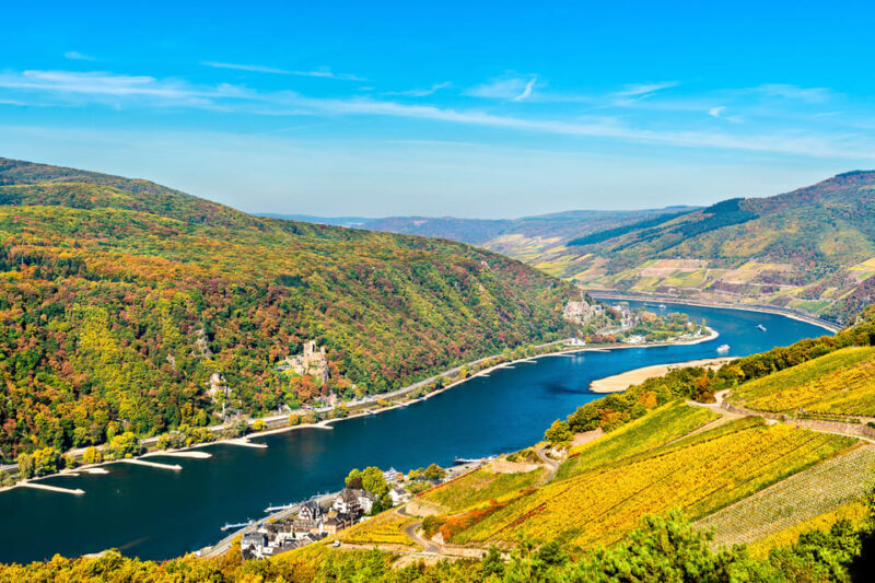 Rhine Valley Castles: 1.5-Hour Boat Tour from Rüdesheim - A Deep Dive into the Experience