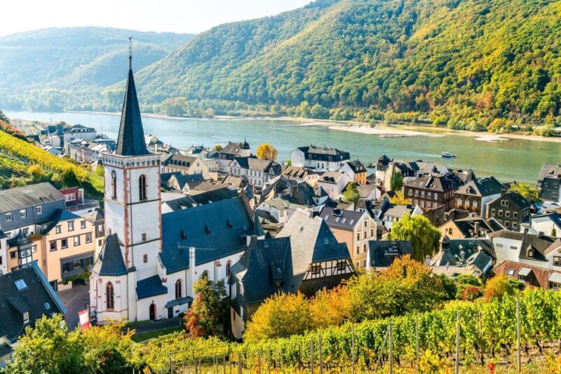Rhine Valley: Half Day Tour from Frankfurt - Medieval Castles and Scenic Highlights