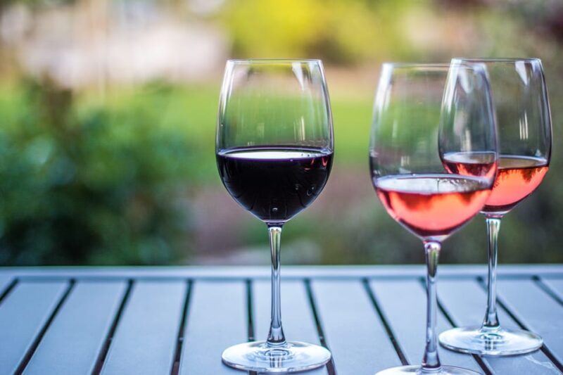 Rhine Valley: Half Day Tour from Frankfurt - Who Would Enjoy This Tour?