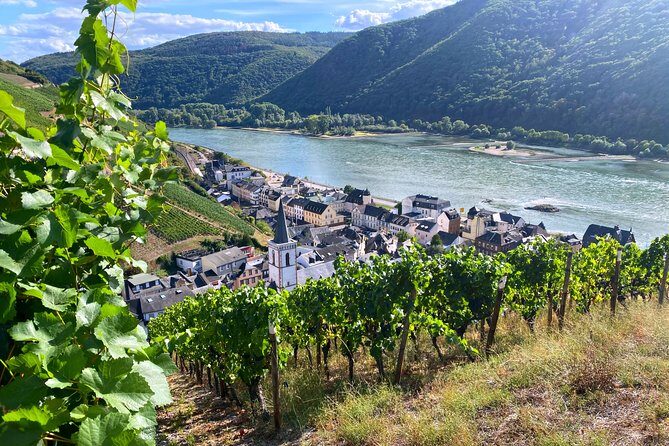 Rhine Valley Wine Tasting Tour from Frankfurt and Mainz - Rhine Valley Wine Tasting Tour from Frankfurt and Mainz