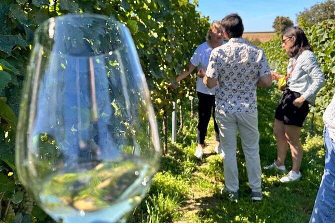 Rhine Valley Wine Tasting Tour from Frankfurt and Mainz - The Sum Up
