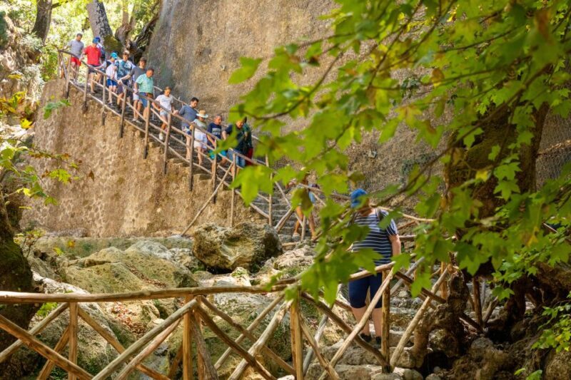 Rhodes: Butterfly Valley and Seven Springs Valley Day Trip - An In-Depth Look at the Tour Experience