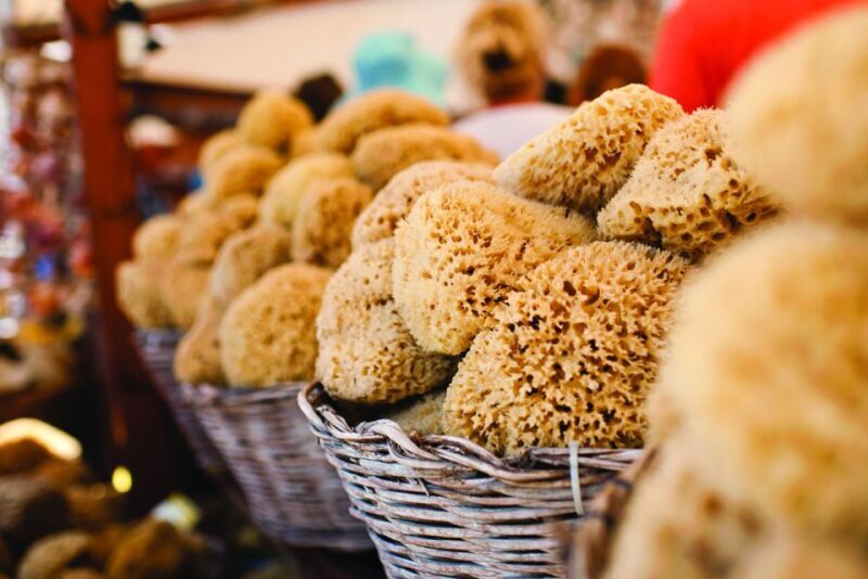 Rhodes: Day Trip to Symi Island by Fast Boat - Key Points